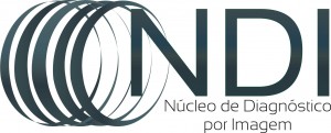 Logo NDI FINAL CINZA