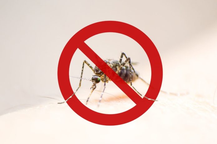 Não Dê Folga Para a Dengue