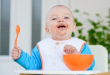 introdução alimentar para bebês